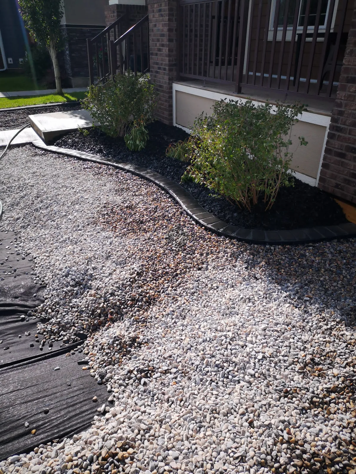 Mahogany SE Calgary Front Yard Xeriscaping