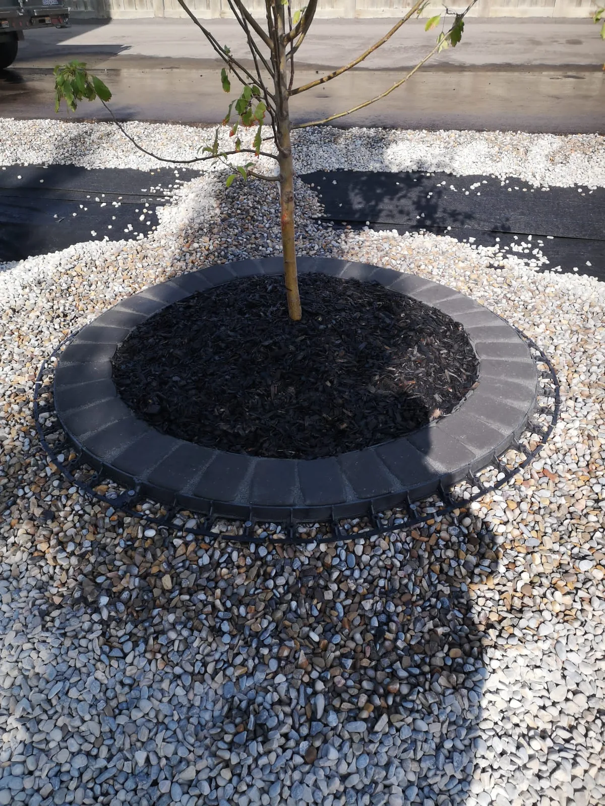 Mahogany SE Calgary Front Yard Xeriscaping photo 2