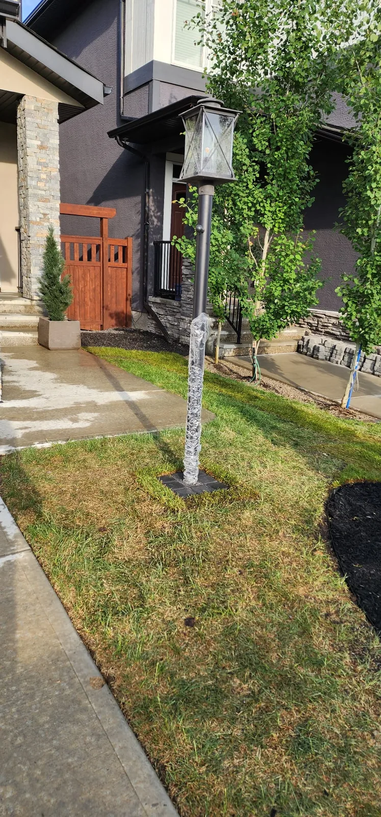 Aspen Woods Front Yard Landscaping photo 8