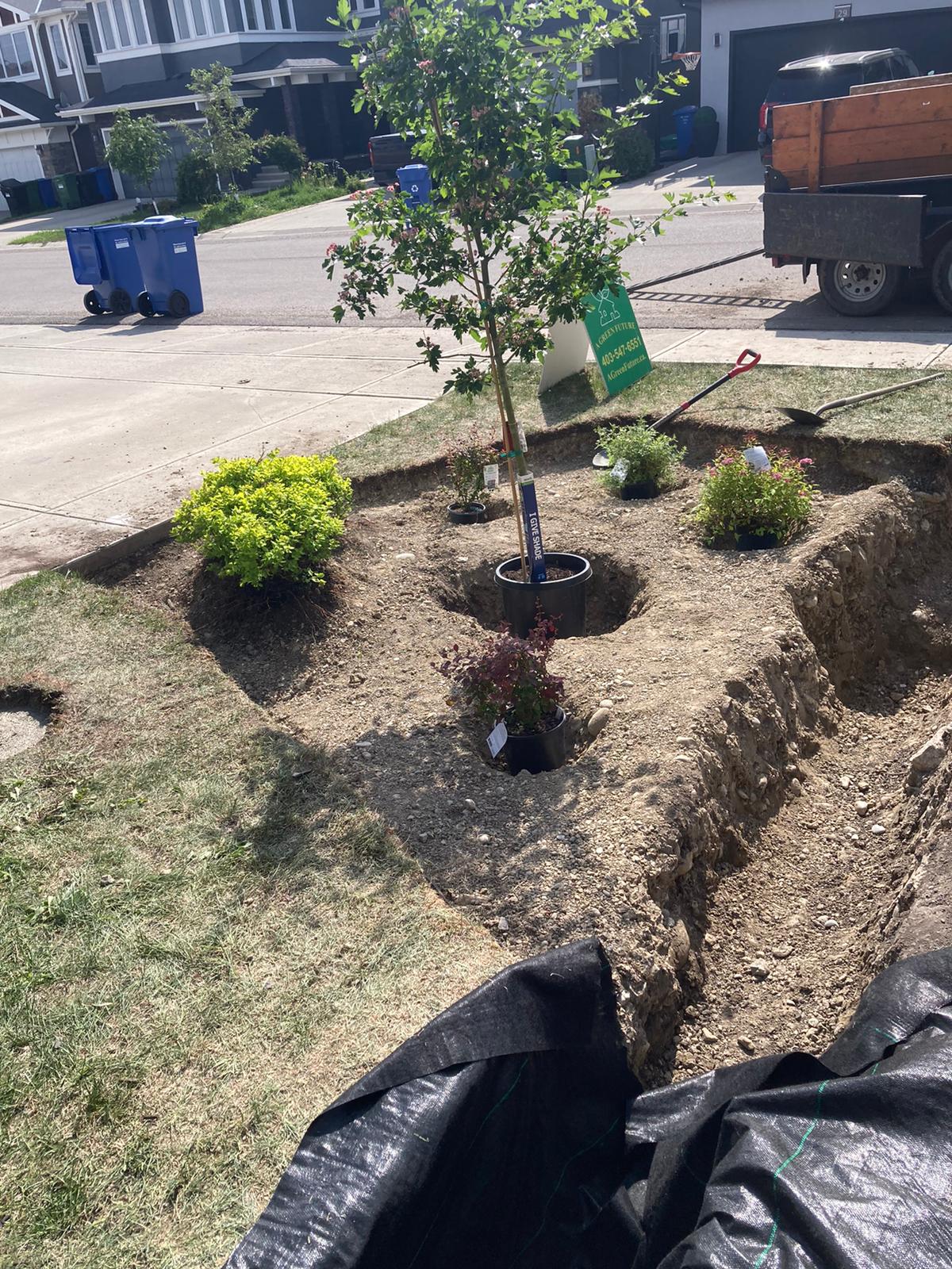 Aspen Woods Front Yard Landscaping photo 11