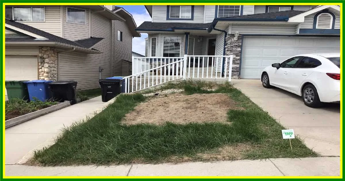 Arbour Lake Front Flowerbeds before
