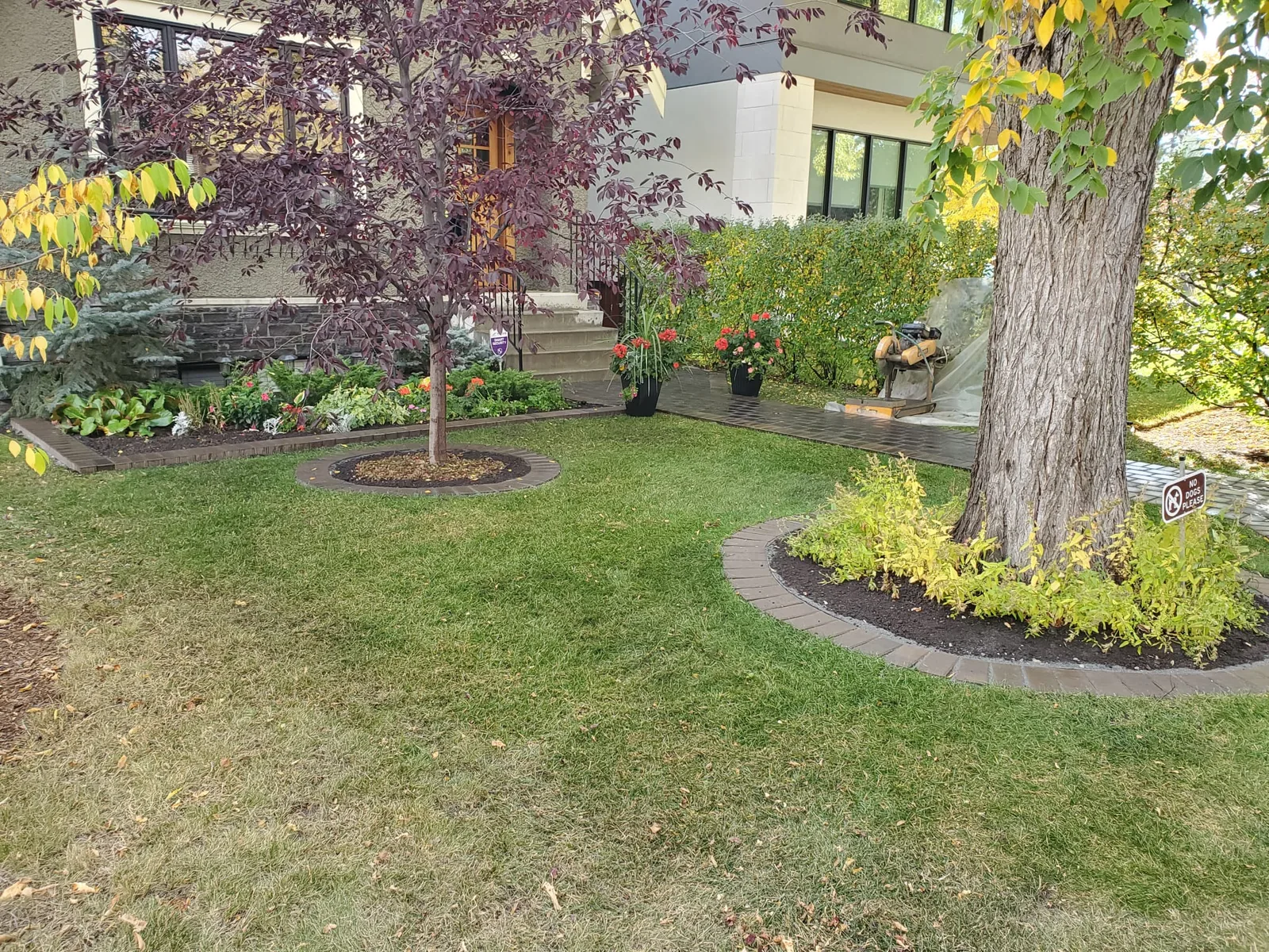 Softscapes Calgary photo 11