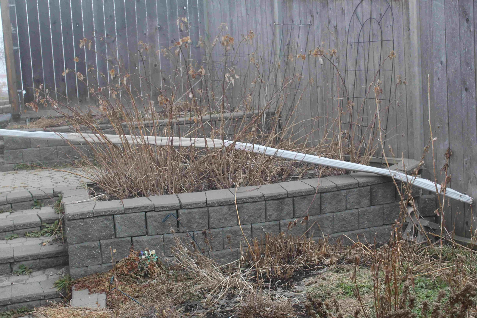 Citadel-Patio with Flowerbeds before