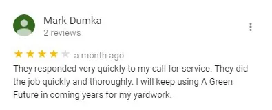 Archived A Green Future customer project review 32